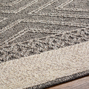 Areli Beige / Brown Outdoor Rug