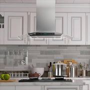 36 in. 900 CFM Island Mount wih LED Light and Glass Panel Range Hood in Stainless Steel
