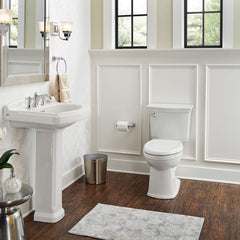 American Standard Optum VorMax Toilet