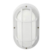 White LED Outdoor Bulkhead Light with CCT Color Switchable from 3000K, 4000K, 5000K