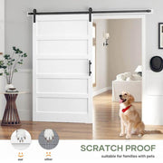 easelife Eco-Friendly Sliding Barn Door