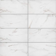 Michelangelo White 9 in. x 18 in. Glossy Ceramic Wall Tile (21.8 sq. ft./Case)