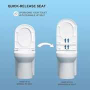 1-piece 0.8/1.28 GPF Dual Flush Round Toilet in White with Durable UF Seat Included