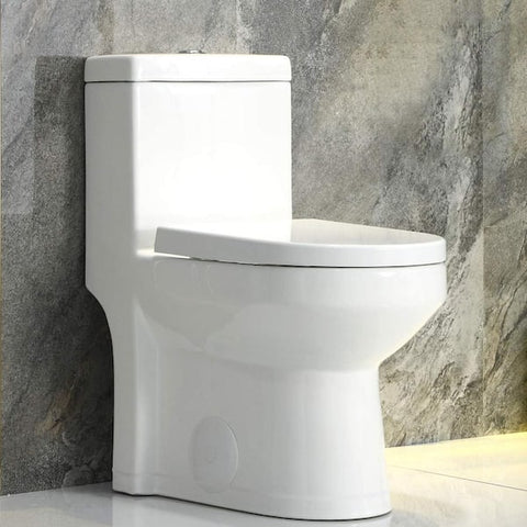 HOROW Dual Flush Modern Toilet