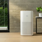 PlasmaPro 600S Smart 635 sq.ft. Black Panel True HEPA Air Purifier
