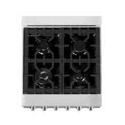 ZLINE 24" Professional Dual Fuel Range, Stainless Steel Door, RA-SN-24
