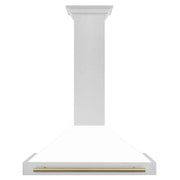 ZLINE 48" Autograph Stainless Wall Range Hood KB4SNZ-WM48-CB