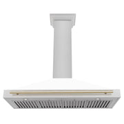 ZLINE 48" Autograph Stainless Wall Range Hood KB4SNZ-WM48-G