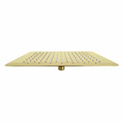 ZLINE 12" Bliss Shower Head in Polished Gold BLS-H12-PG