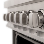 ZLINE 24" Professional Dual Fuel Range In Stainless Steel, RA24