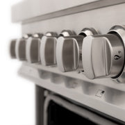 ZLINE 24" Professional Dual Fuel Range, Stainless Steel Door, RA-SN-24