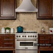ZLINE 30" Designer Snow Stainless Finish Wall Range Hood, 8632S-30