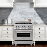 ZLINE 30" Dual Fuel Range, DuraSnow, Stainless, Brass Burners, RAS-SN-BR-30