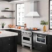 ZLINE 30" DuraSnow® Stainless Steel Range Hood 8654SNX-WM-30