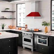 ZLINE 30" DuraSnow® Stainless Steel Range Hood with Color Shell Options 8654SNX-RM-30
