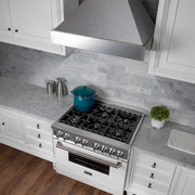 ZLINE 30" Snow Finish Stainless Range Hood with Snow Finish Shell, 8654SN-30
