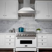 ZLINE 30" Snow Finish Wall Range Hood, White Matte Shell, 8654WM-30