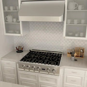 ZLINE 30" Under Cabinet Stainless Steel Range Hood 520-30