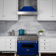 ZLINE 30"Dual Fuel Range, Snow Stainless, Blue Gloss Door, RAS-BG-30