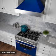 ZLINE 30"Dual Fuel Range, Snow Stainless, Blue Gloss Door, RAS-BG-30