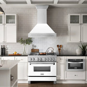 ZLINE 36" DuraSnow® Stainless Steel Range Hood 8654SNX-WM-36