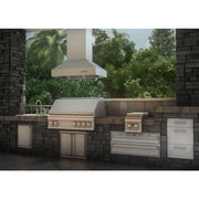 ZLINE 36" Outdoor Stainless Island Range Hood, 697i-304-36