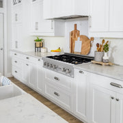 ZLINE 36" Porcelain Rangetop, DuraSnow®, 6 Brass Burners, RTS-BR-36