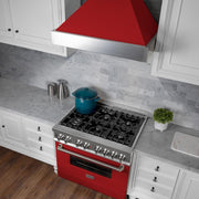 ZLINE 36" Professional Dual Fuel Range, Snow Stainless, Red Matte Door, RAS-RM-36
