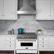 ZLINE 36" Snow Finish Stainless Range Hood with Snow Finish Shell, 8654SN-36