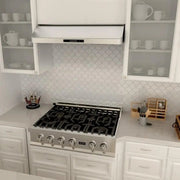ZLINE 36" Under Cabinet Stainless Steel Range Hood 619-36