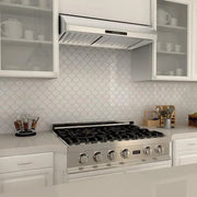 ZLINE 36" Under Cabinet Stainless Steel Range Hood 621-36