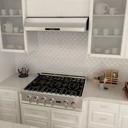 ZLINE 36" Under Cabinet Stainless Steel Range Hood 621-36