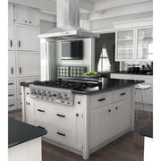 ZLINE 42" Remote Dual Blower Stainless Island Range Hood, GL2i-RD-42