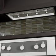 ZLINE 46" Outdoor Stainless Range Hood Insert, 695-304-46