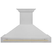 ZLINE 48" Autograph DuraSnow Stainless Steel Hood 8654SNZ-48-G