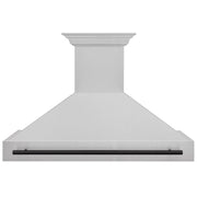 ZLINE 48" Autograph DuraSnow Stainless Steel Hood 8654SNZ-48-G