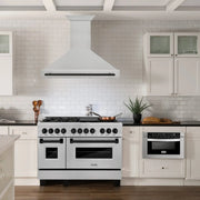 ZLINE 48" Autograph DuraSnow Stainless Steel Hood 8654SNZ-48-MB