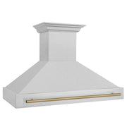 ZLINE 48" Autograph DuraSnow Stainless Steel Range Hood 8654SNZ-48-CB