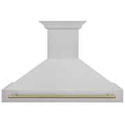 ZLINE 48" Autograph DuraSnow Stainless Steel Range Hood 8654SNZ-48-CB