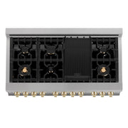 ZLINE 48" Autograph Edition Dual Fuel Range, DuraSnow, RASZ-SN-48-G