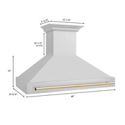 ZLINE 48" Autograph Stainless Wall Range Hood, 8654STZ-48-G