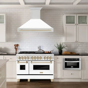 ZLINE 48" Autograph Stainless Wall Range Hood, 8654STZ-WM48-G