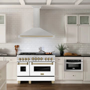 ZLINE 48" Autograph Stainless Wall Range Hood  KB4SNZ-48-CB