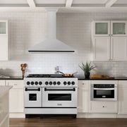 ZLINE 48" Autograph Stainless Wall Range Hood KB4SNZ-48-MB