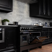 ZLINE 48" Black Stainless, Gas Burner, Electric Oven Range, RAB-48
