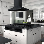 ZLINE 48" Ceramic Rangetop in Black Stainless with 7 Gas Burners, RTB-48