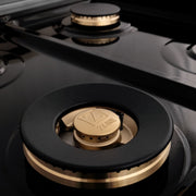ZLINE 48" Dual Fuel Range, DuraSnow Stainless, Brass Burners, RAS-SN-BR-48
