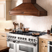 ZLINE 48" Dual Fuel Snow Stainless Range, Snow Stainless Door, RAS-SN-48