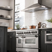 ZLINE 48" Gas Burner/Electric Oven Range Stainless, Brass Burners, RA-BR-48