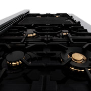 ZLINE 48" Gas Burner/Electric Oven Range Stainless, Brass Burners, RA-BR-48